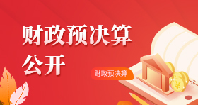 财政预决算公开